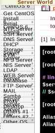 server-world.jpg